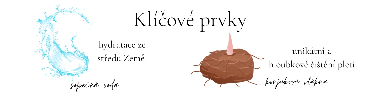 složení konjaková houba